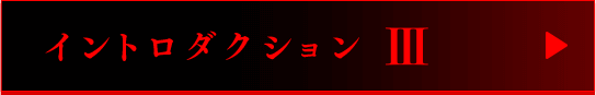 イントロダクションIII
